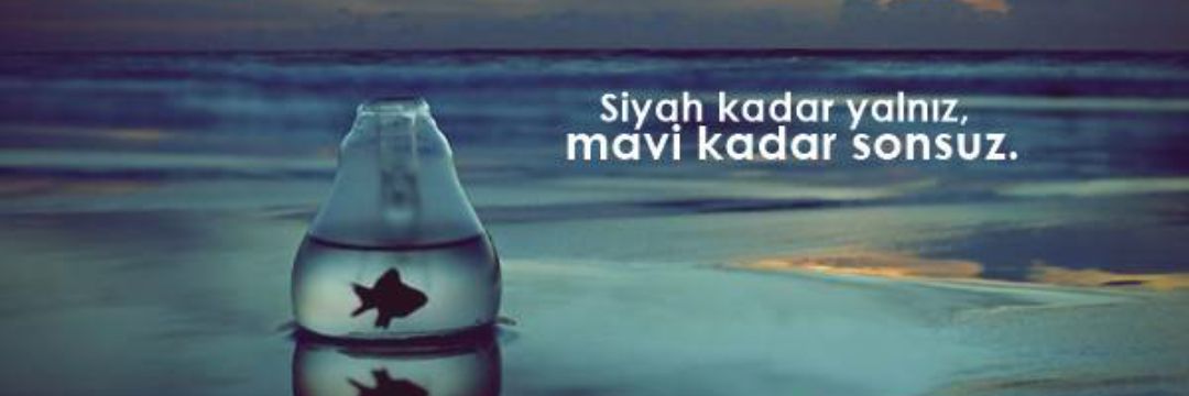 Twitter banner for @SmyraYasar
