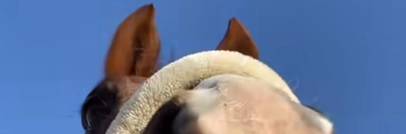 widyani5's profile banner image