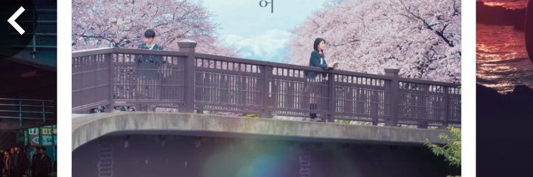 sky202's profile banner image
