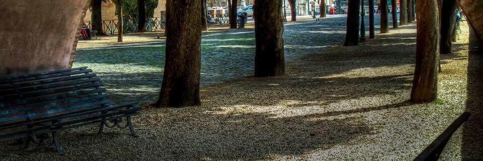 litio523's profile banner image