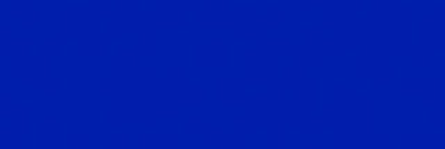 Fulham Police banner