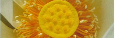 hot2sell's profile banner image