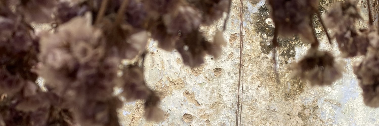 btwmani's profile banner image