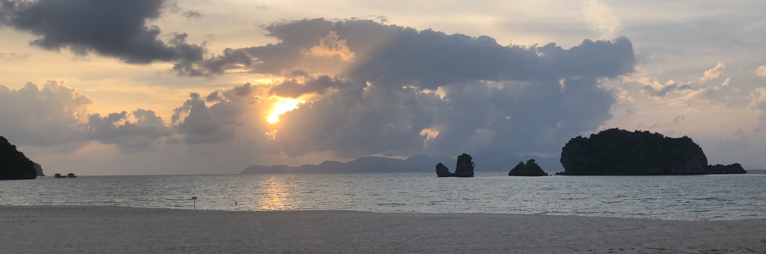 roxanecadis's profile banner image