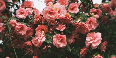 ericnavarro_'s profile banner image