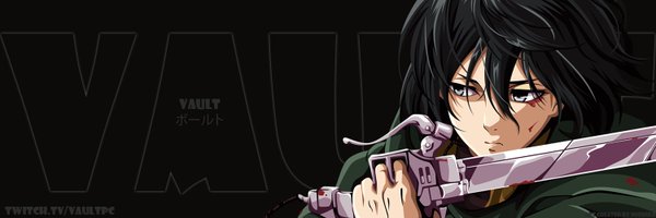 Vault Profile Banner
