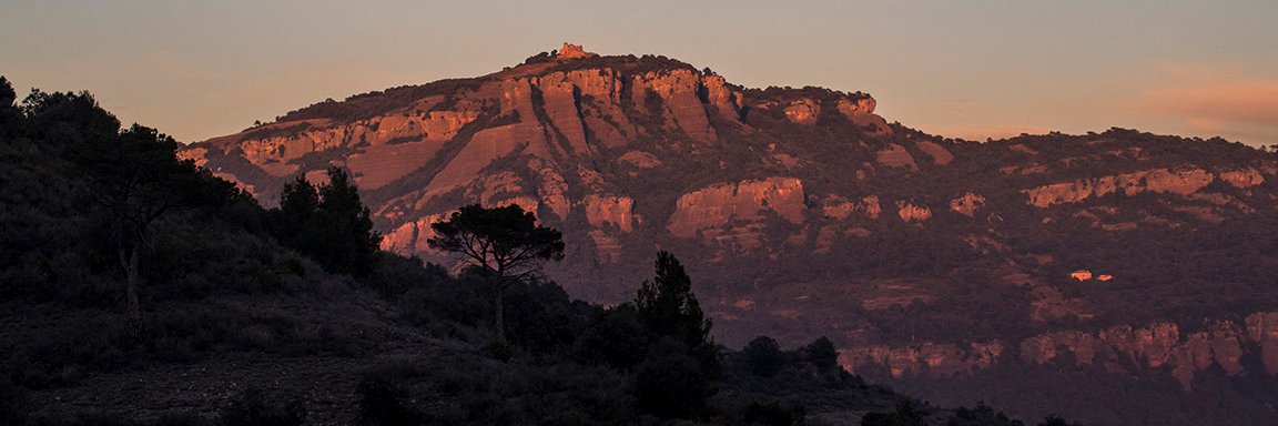 Aj. Matadepera banner