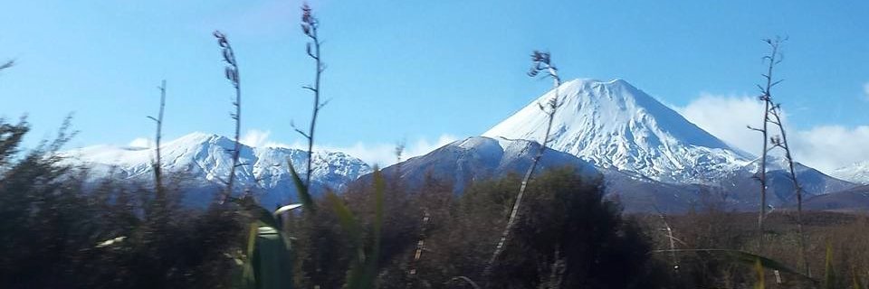 RoaringBuckley banner