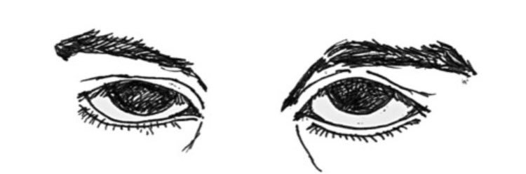 persian devin booker banner