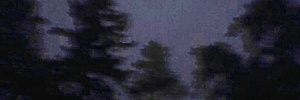 huiskz's profile banner image
