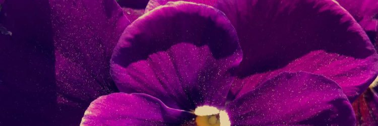 theyknow_des's profile banner image