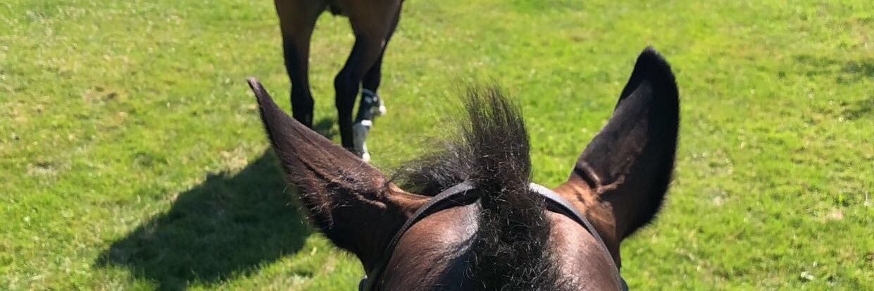 thepoorrider's profile banner image