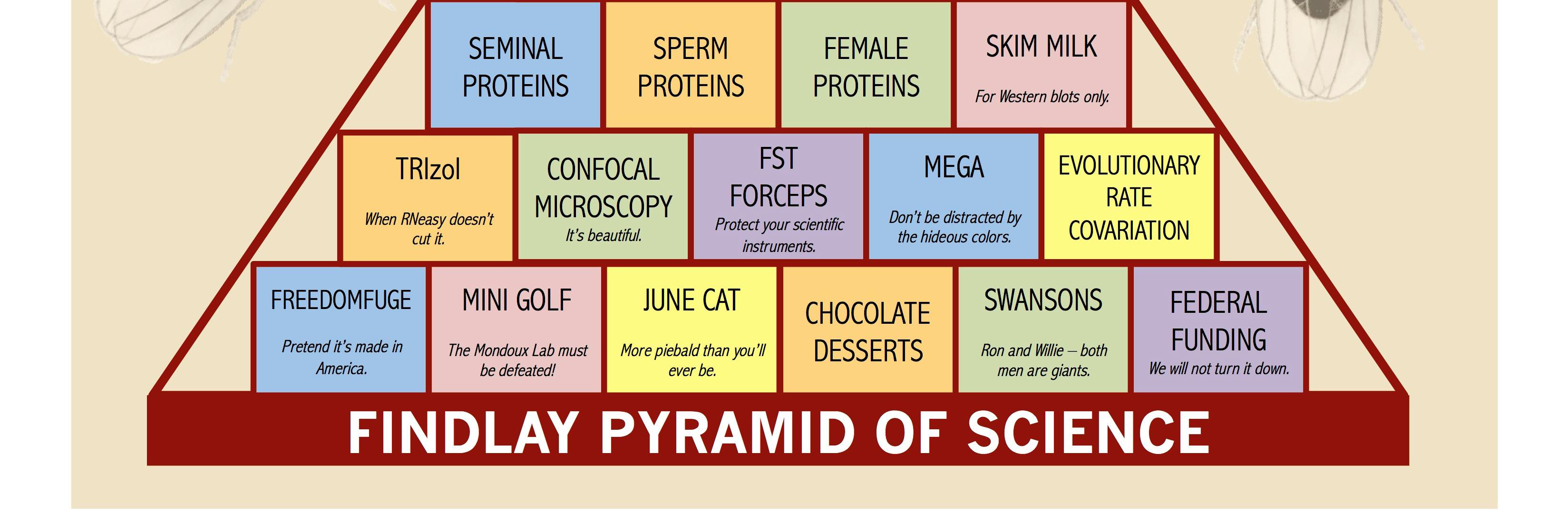 Findlay Lab banner