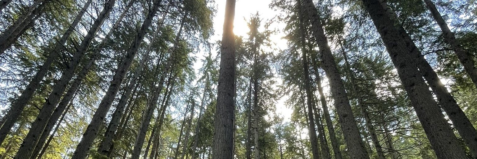 Vancity_armi's profile banner image