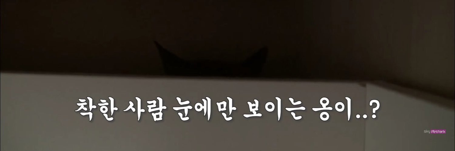 princeong_yeah's profile banner image