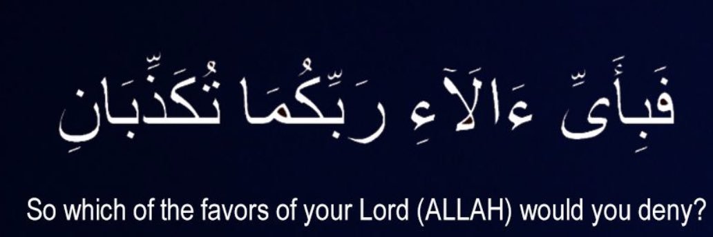MuniLuuni's profile banner image