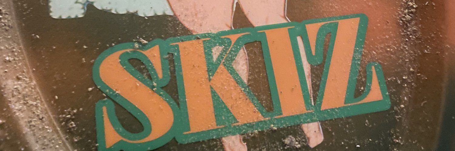 GoinsteadySki's profile banner image