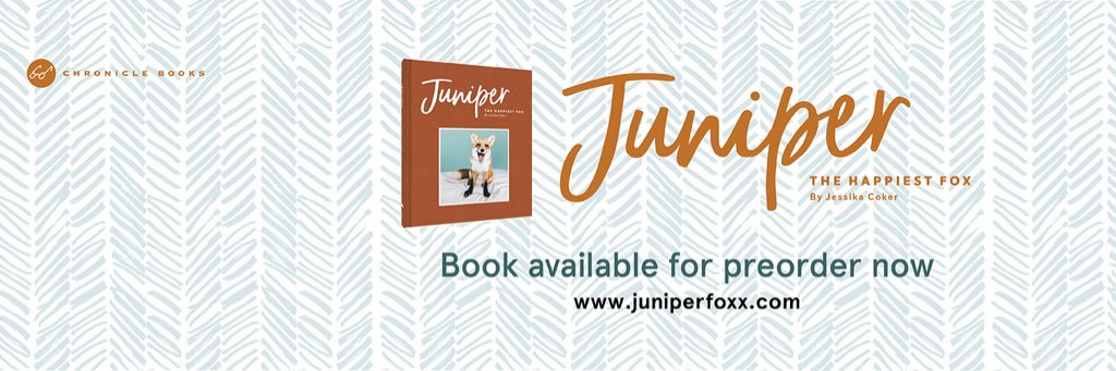 J u n i p e r banner