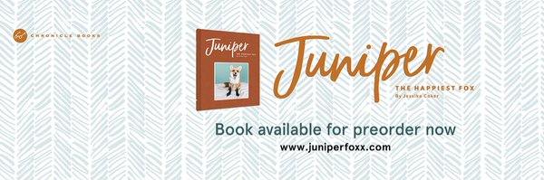 juniperfoxx Profile Banner