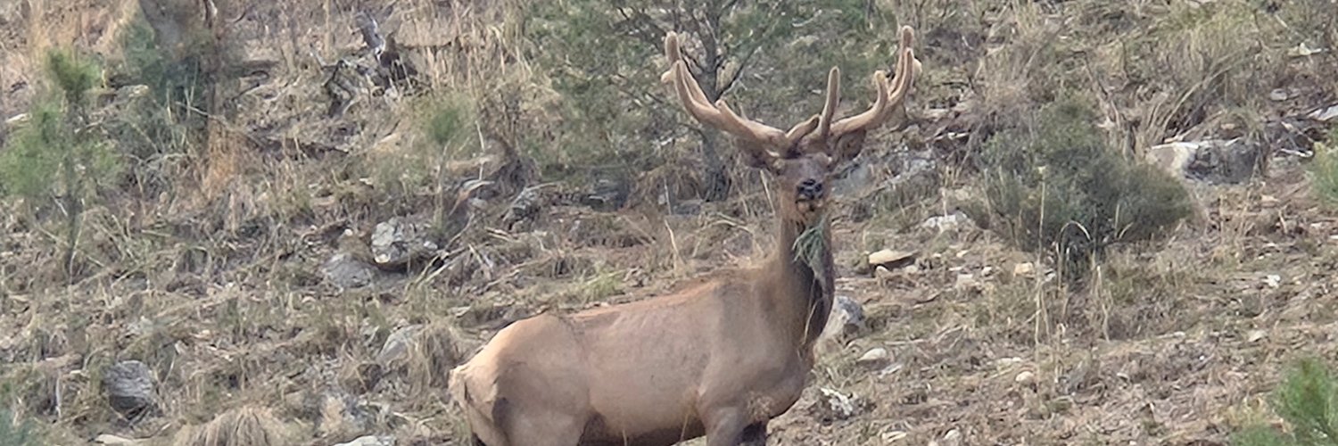 optimusflyswatter banner