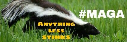 Skunkitude's profile banner image