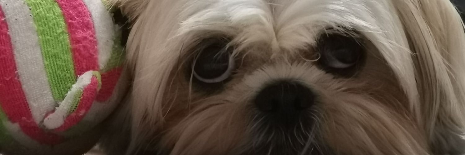 vala_rojas's profile banner image