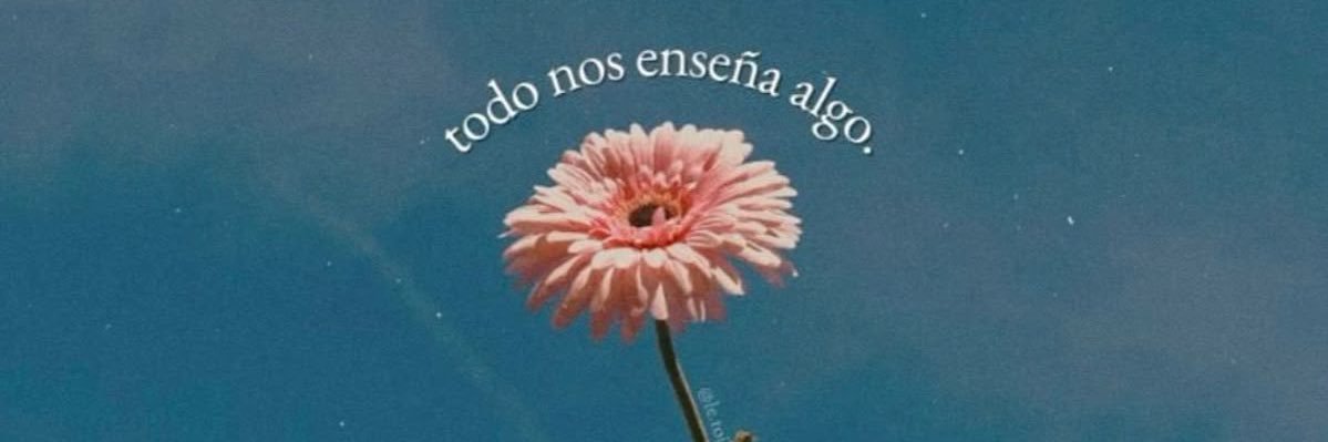 Anmabroro's profile banner image