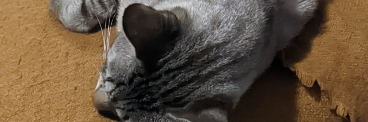 oszDev's profile banner image