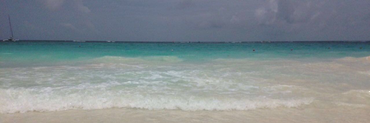MarinaCute's profile banner image