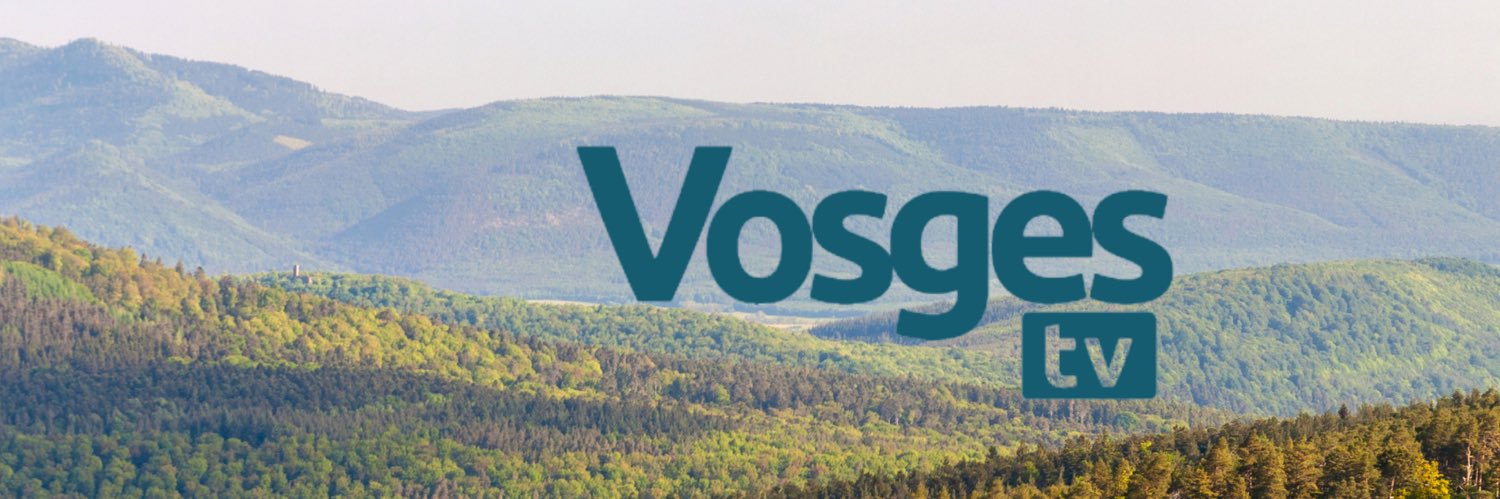 Vosges Television banner