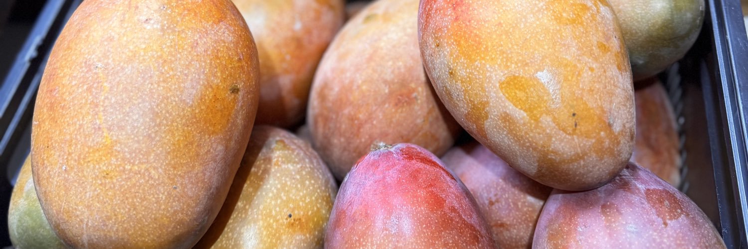 Patricia Gomez banner