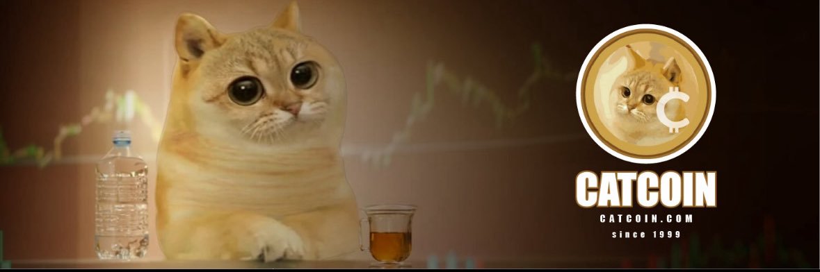 CatcoinTeamDesk's profile banner image