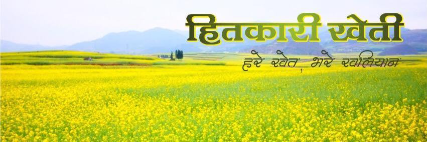 indreshanand72's profile banner image