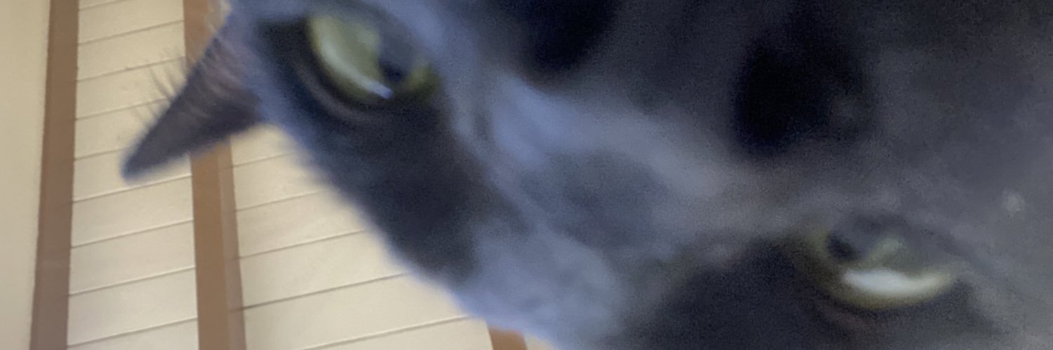 ThankUNeks's profile banner image