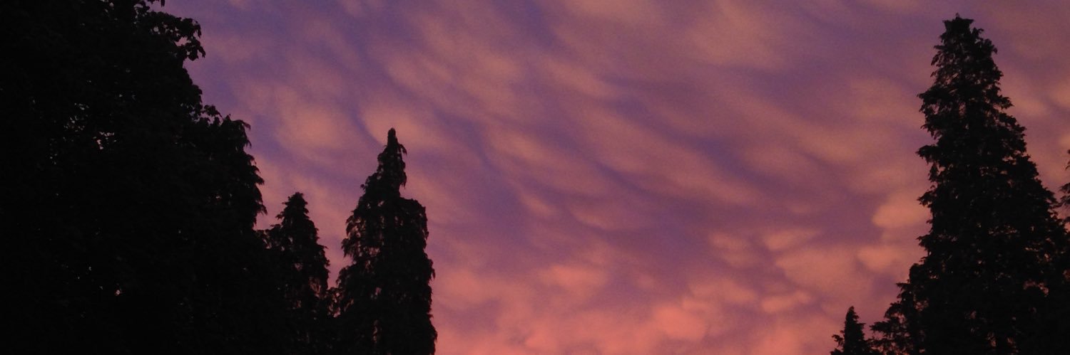StirStasTar's profile banner image