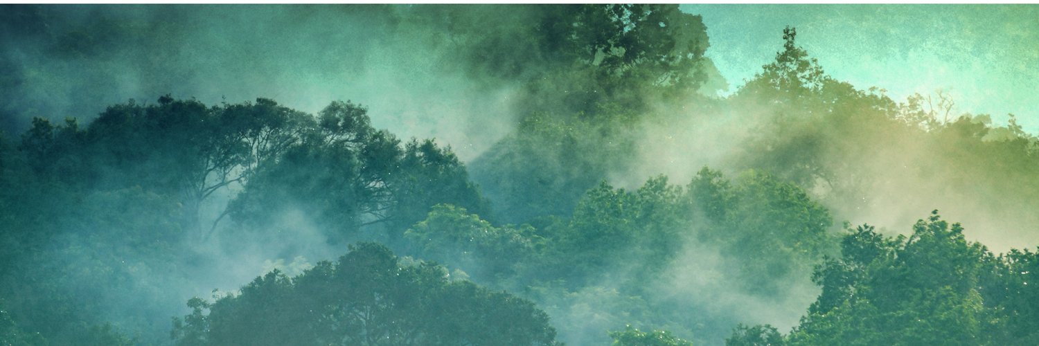 Aviary Bridge Records banner