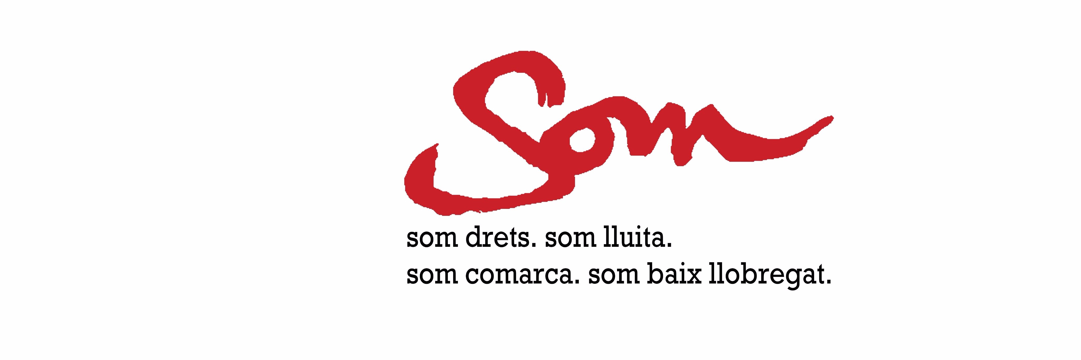 UGT Serveis Públics Baix Ll. banner