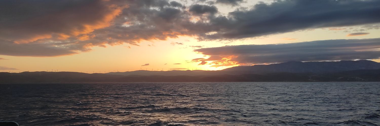 navyint's profile banner image