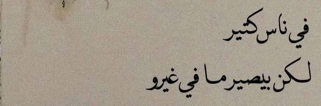 Aya_Altohamy's profile banner image