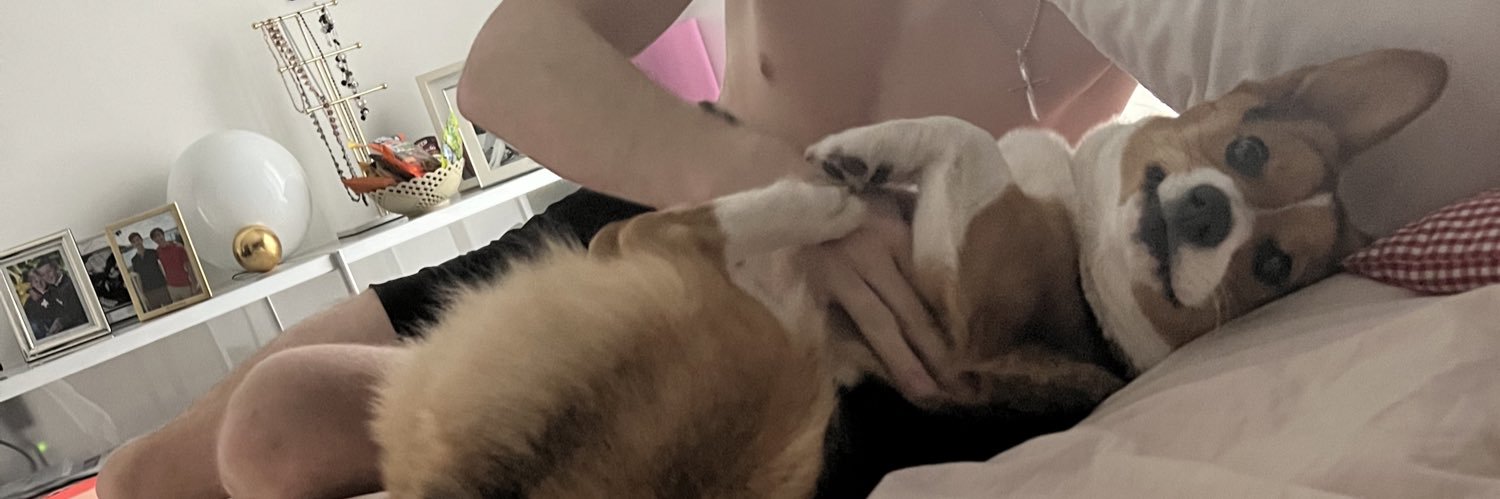 Meidas_Alex&SophieCorgi banner