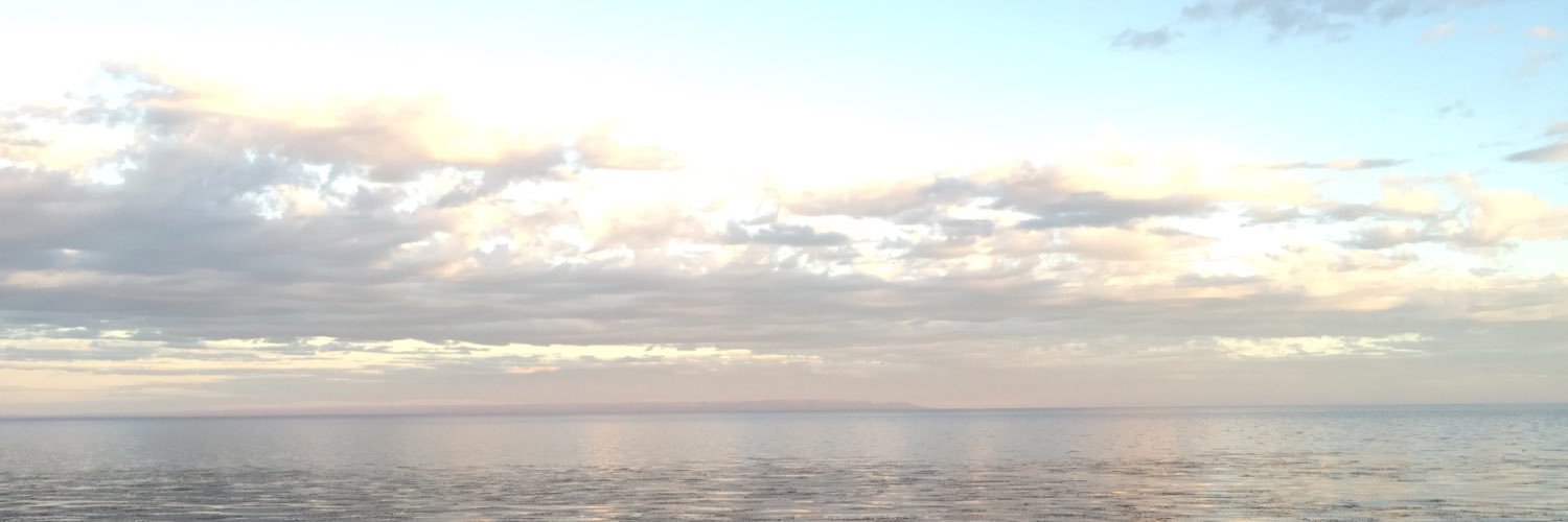 VMSilvaD's profile banner image