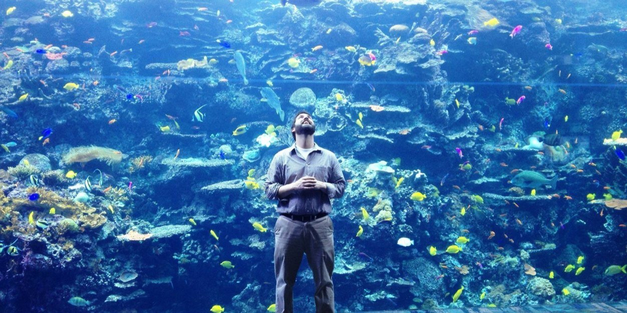 Christopher Doyle banner