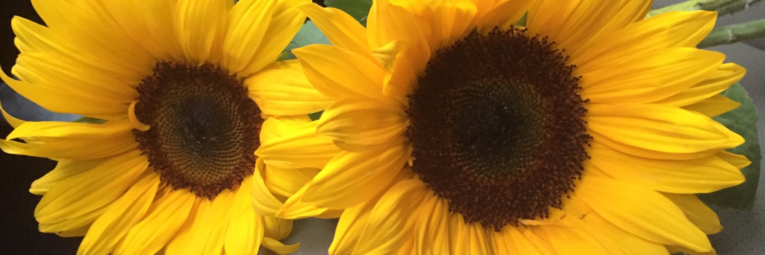 Dr. Angelica Chavez banner