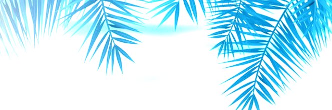 fauzan alfian-Merlin🔮🧙 banner