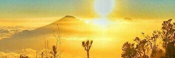 Dyahsekar6's profile banner image