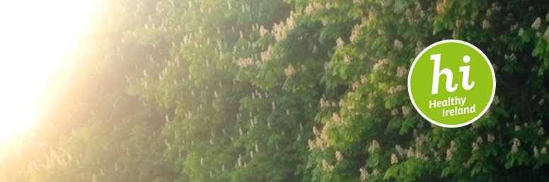 Brena Dempsey banner