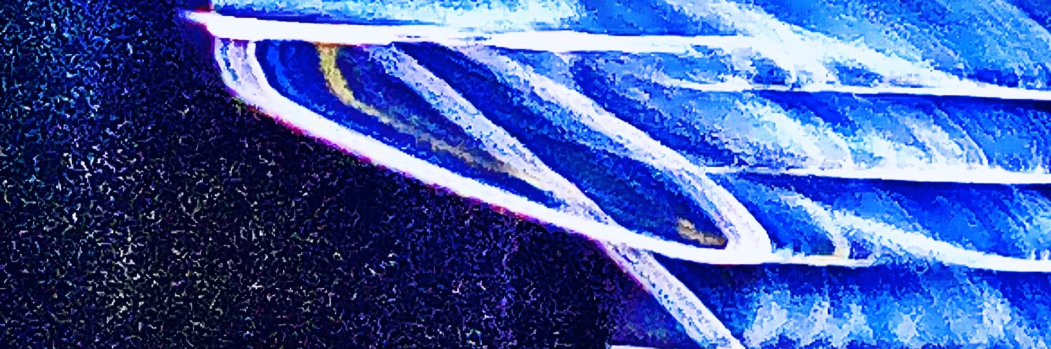 P-Wave banner