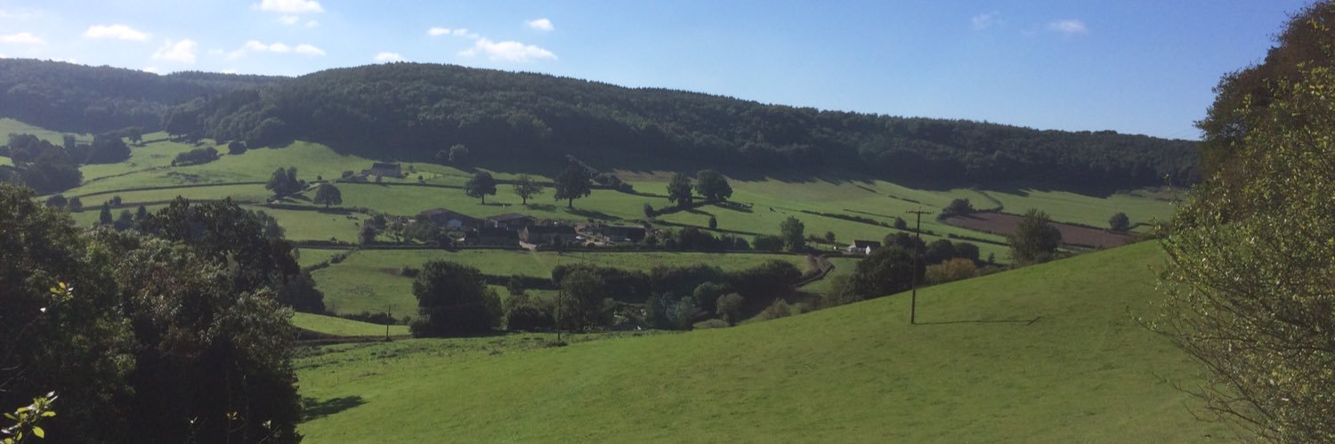 John Henderson banner