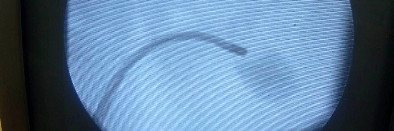 Santiago Pautasso banner