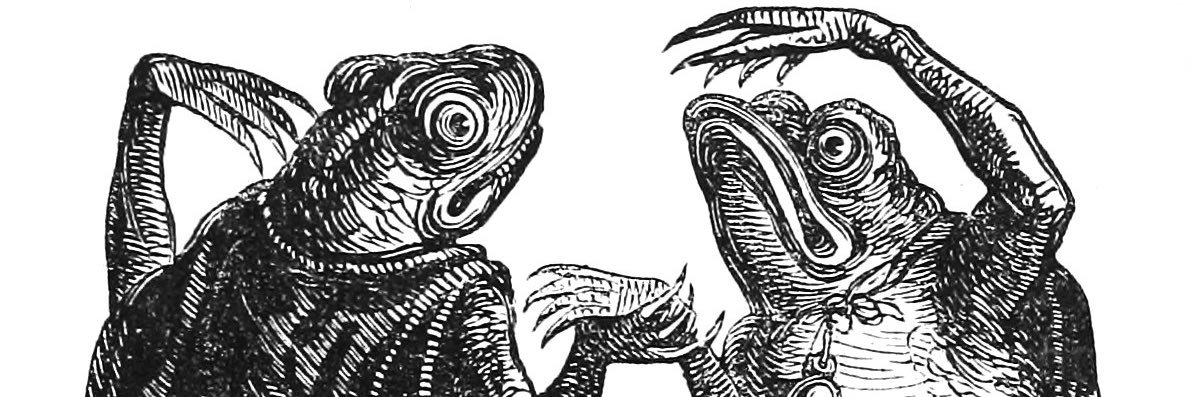 Dabnormal's profile banner image